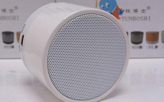 Bluetooth Speaker (B13)