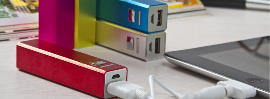 Power Bank (PB101)